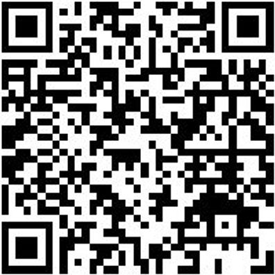 Schnellspannzwinge Shnlspnzwinge-Terr-450Mm