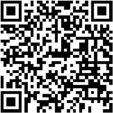 Fallschutz Set Fallshtz-Set-Febau