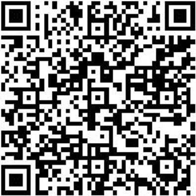 Fallschutz Set Fallshtz-Set-Geruestbau-Hsg25-3Tlg