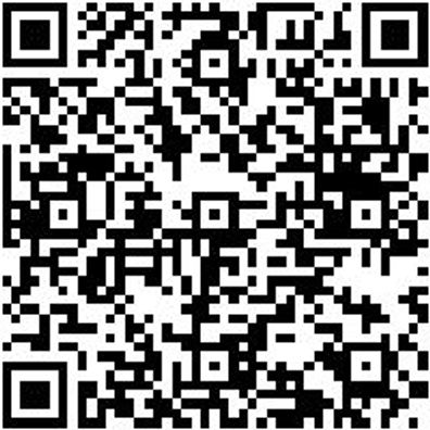 Schonhammer Schonham-Secural-Rueckshlgfrei