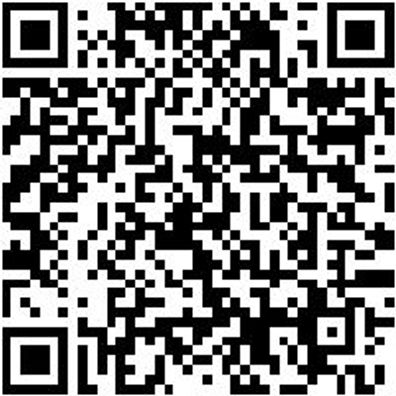 Schonhammer Schonham-Simplex-Gummi/Pla-D60Mm