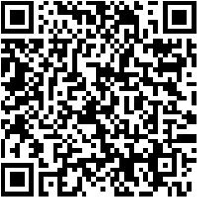 Schonhammer Schonham-Simplex-Gummi/Pla-D80Mm