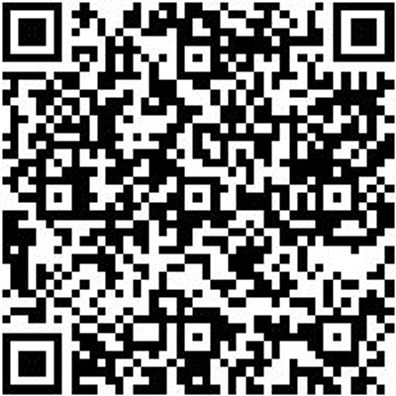 Schonhammer Schonham-Simplex-Gummi/Pla-D80Mm