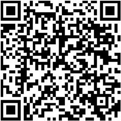 Schraubendreher 1/4 Zoll Abtrieb Shrdrh-1/4Zo-Abtr-L225Mm