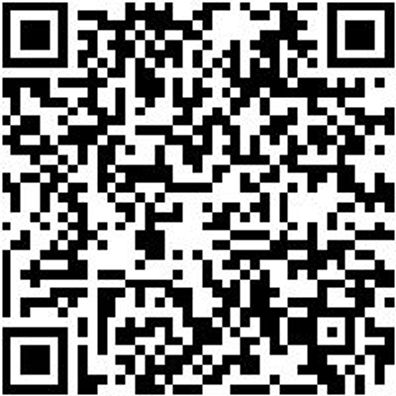 Schraubendreher 1/4 Zoll Bitaufnahme Shrdrh-1/4Zo-Bitaufn-Mini