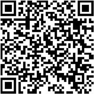 Flachpinsel Flpins-Lm-St12-Hl-Gr40