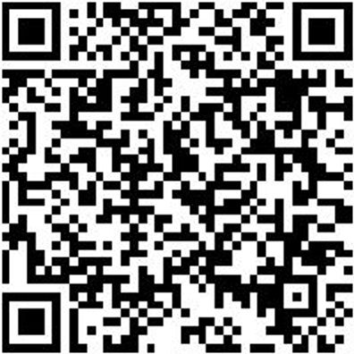 Flachpinsel Flpins-Lm-St12-Hl-Gr80