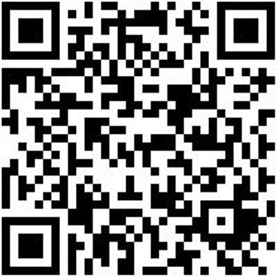 Flachpinsel Flpins-Nylon-B30Mm