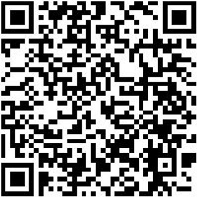 Flachpinsel Flpins-Lm-St12-Dk-Gr60