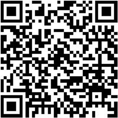 Flachpinsel Flpins-Lm-Pa-St12-Gr75