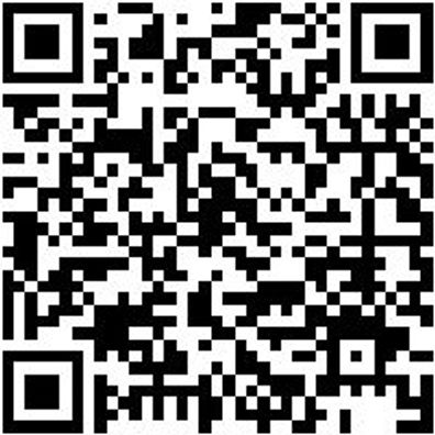 Flachpinsel Flpins-Lm-Pa-St12-Gr50