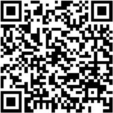 Flachpinsel Flpins-Lm-Pa-St12-Gr40