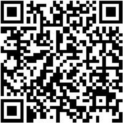 Flachpinsel Flpins-Wb-Pa-St12-Gr60