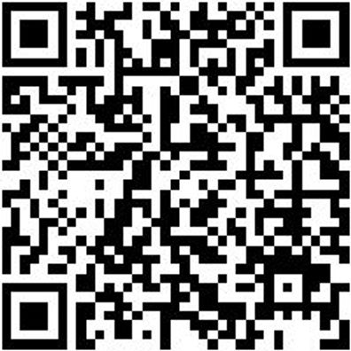 Flachpinsel Flpins-Wb-Pa-St12-Gr25