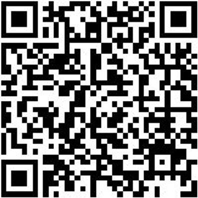 Flachpinsel Flpins-Wb-Pa-St12-Gr75