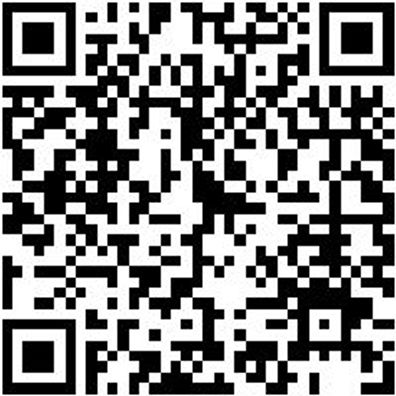 Flachpinsel Flpins-La-Pa-St12-Gr40