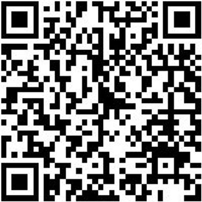 Flachpinsel Flpins-La-Pa-St12-Gr60