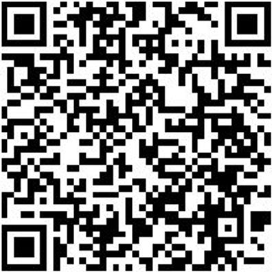 Flachpinsel Flpins-Lm-St12-Dk-Gr80