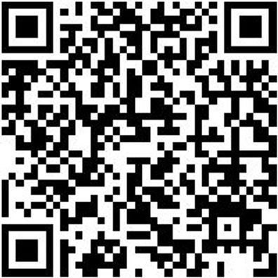 Flachpinsel Flpins-Wb-St9-Gr60