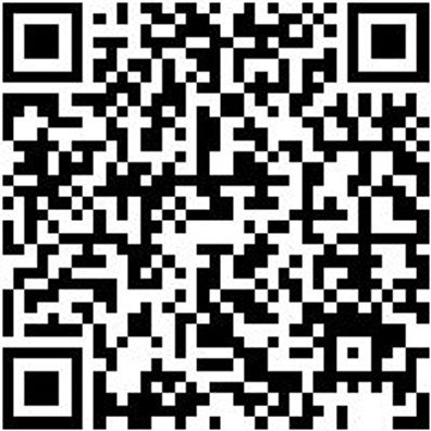 Flachpinsel Flpins-Wb-St9-Gr80