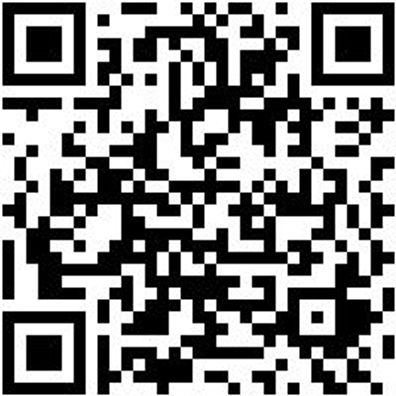 Flachschaber Flschab-Di-L260Mm