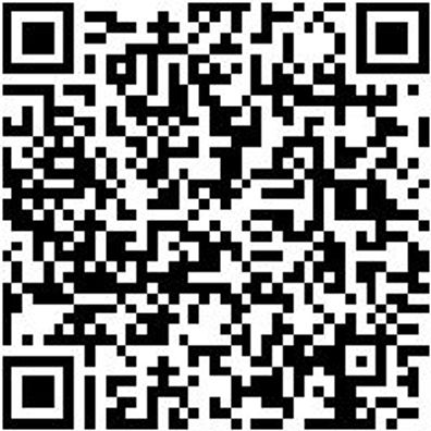 Schraubendreher Innen6Kt Shrdrh-In6Kt-Kugkpf-Sw3X100