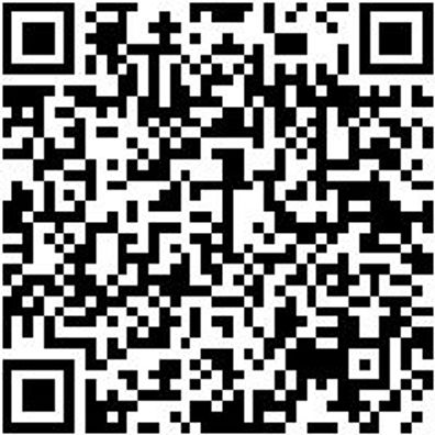 Schraubendreher Phillips Shrdrh-Ph2X100