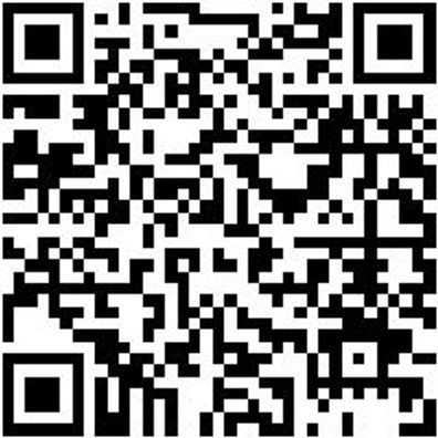 Schraubendreher Phillips Shrdrh-Ph2X100