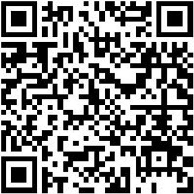 Schraubendreher Phillips Shrdrh-Ph2X100