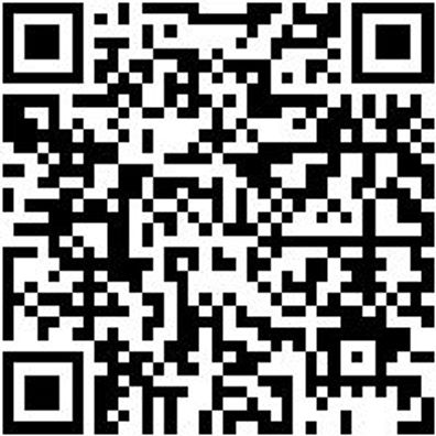 Schraubendreher Phillips Shrdrh-Ph1X300