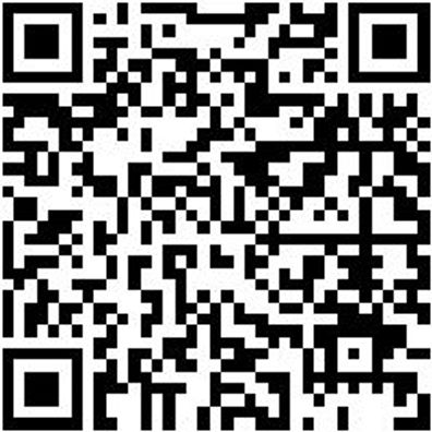 Schraubendreher Phillips Shrdrh-Ph2X300