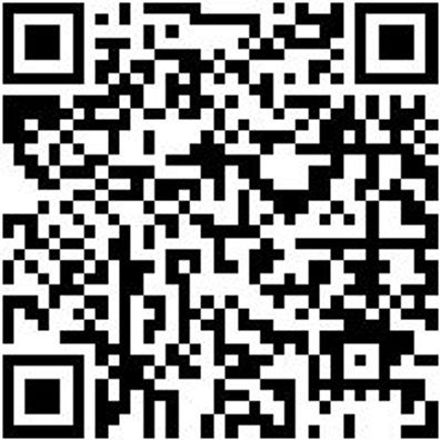 Schraubendreher Phillips Shrdrh-Ph4X200