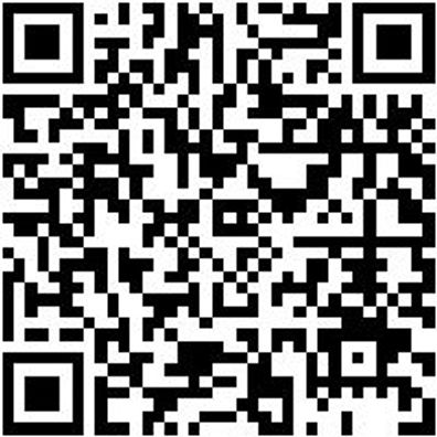 Schraubendreher Phillips Shrdrh-Ph2X100