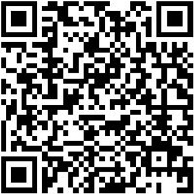 Gelenkkopfknarre 1/2 Zoll Knar-Glkkpf-1/2Zo-(294-432Mm)