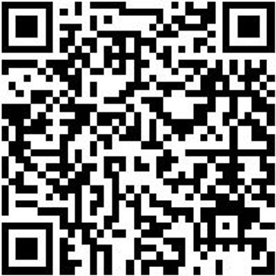 Schraubendreher Pozidriv Shrdrh-Pz2X100