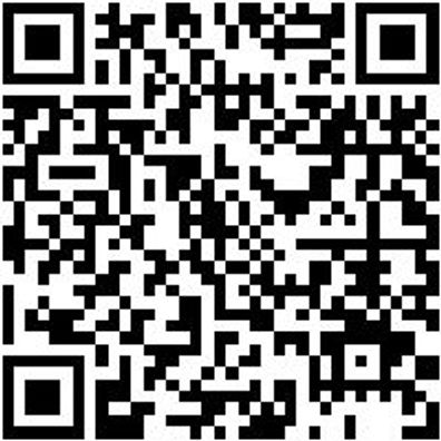 Schraubendreher Pozidriv Shrdrh-Pz2X100