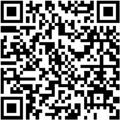 Schraubendreher Pozidriv Shrdrh-Pz4X200