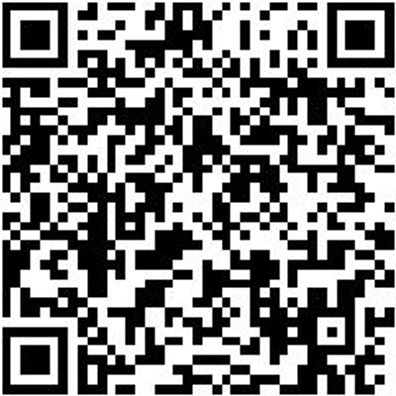 Schraubendreher Sortiment Ratshrdrh-Set-(T-Grf)-6,35Mm-12Tlg