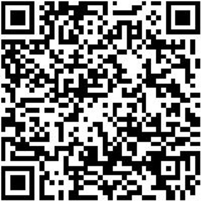 Schraubendreher Sortiment Ratshrdrh-Set-Mini-6,35Mm-11Bits-12Tlg