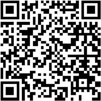 Schraubendreher Tx Shrdrh-Tx8X60