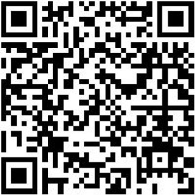 Schraubendreher Tx Shrdrh-Tx9X60