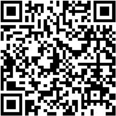 Schraubendreher Tx Shrdrh-Tx15X80