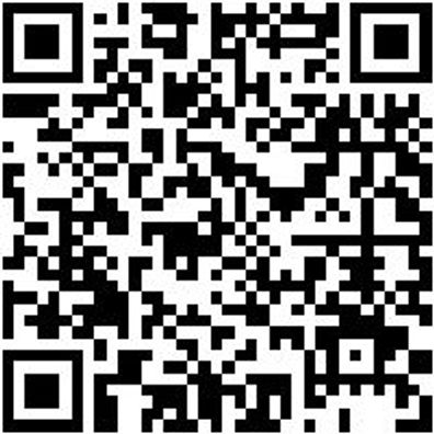 Schraubendreher Tx Shrdrh-Tx20X100