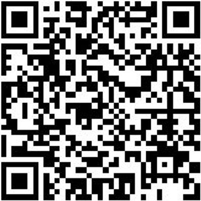 Schraubendreher Tx Shrdrh-Tx40X130