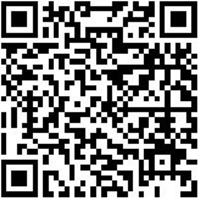 Schraubendreher Tx Shrdrh-Tx10X250