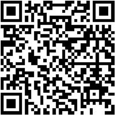 Schraubendreher Tx Shrdrh-Tx30X250