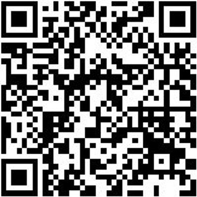 Schraubendreher Umsteckklinge Sortiment Shrdrh-Umstekli-Sort-21Tlg