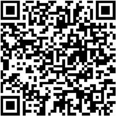 Schraubendreher Umsteckklinge Sortiment Shrdrh-Umstekli-Sort-13Tlg