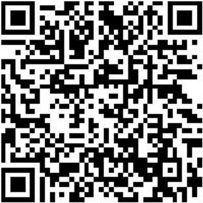 Schraubendreher Vde Wechselklinge Wekli-Vde-Shrdrh-Tx-10X175