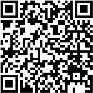 Schraubzwinge Shrbzwinge-Tg-250X100Mm